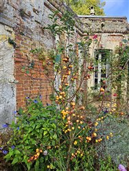 tourville-sur-arques (10)